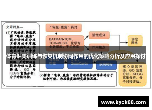 体育健美训练与恢复机制协同作用的优化策略分析及应用探讨